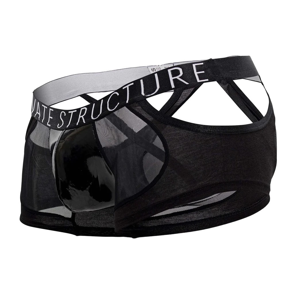 Private Structure LCUT4420 Alpha Low Waist Mesh Back Jockstrap Trunks Black Mens Underwear Johnnies Closet