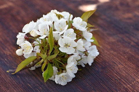 madera de cereza