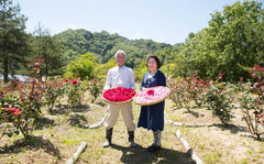 第２回(平成２８年度)福山ブランドの認定 食用バラ マチモト