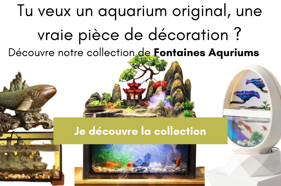 décoration aquariums fontaine