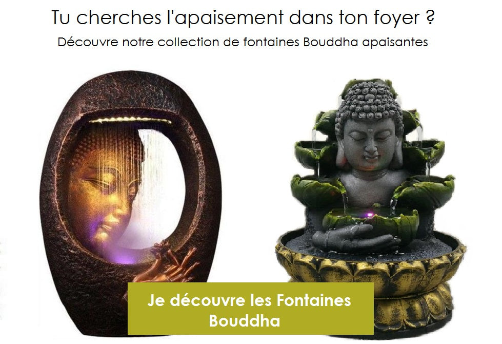 fontaine avec Bouddha