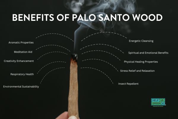 benefits of palo santo