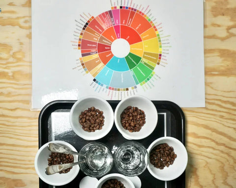 A cupping exercise made to discover coffee tasting notes
