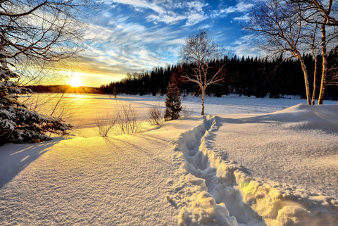 Winterlandschaft Spaziergang im Schnee