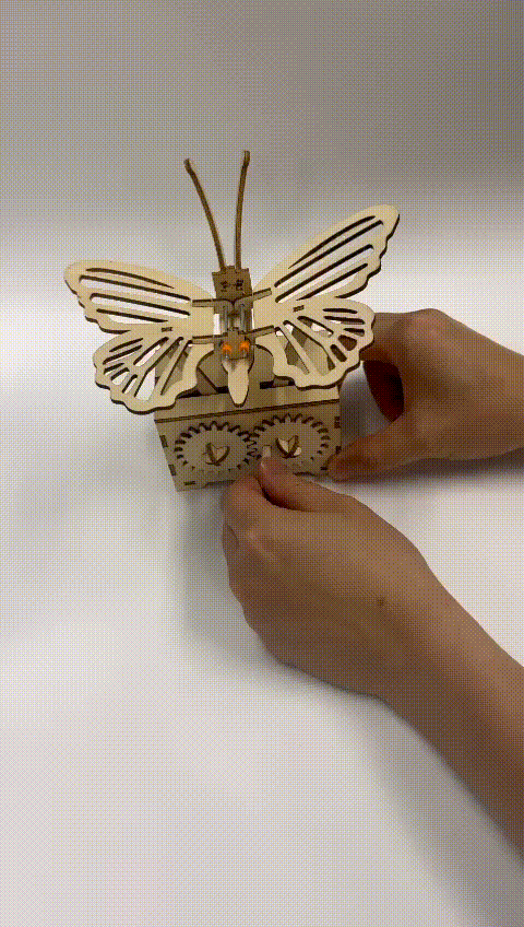 Kidrise STEM teaching wooden model toys | Butterfly wooden model toys