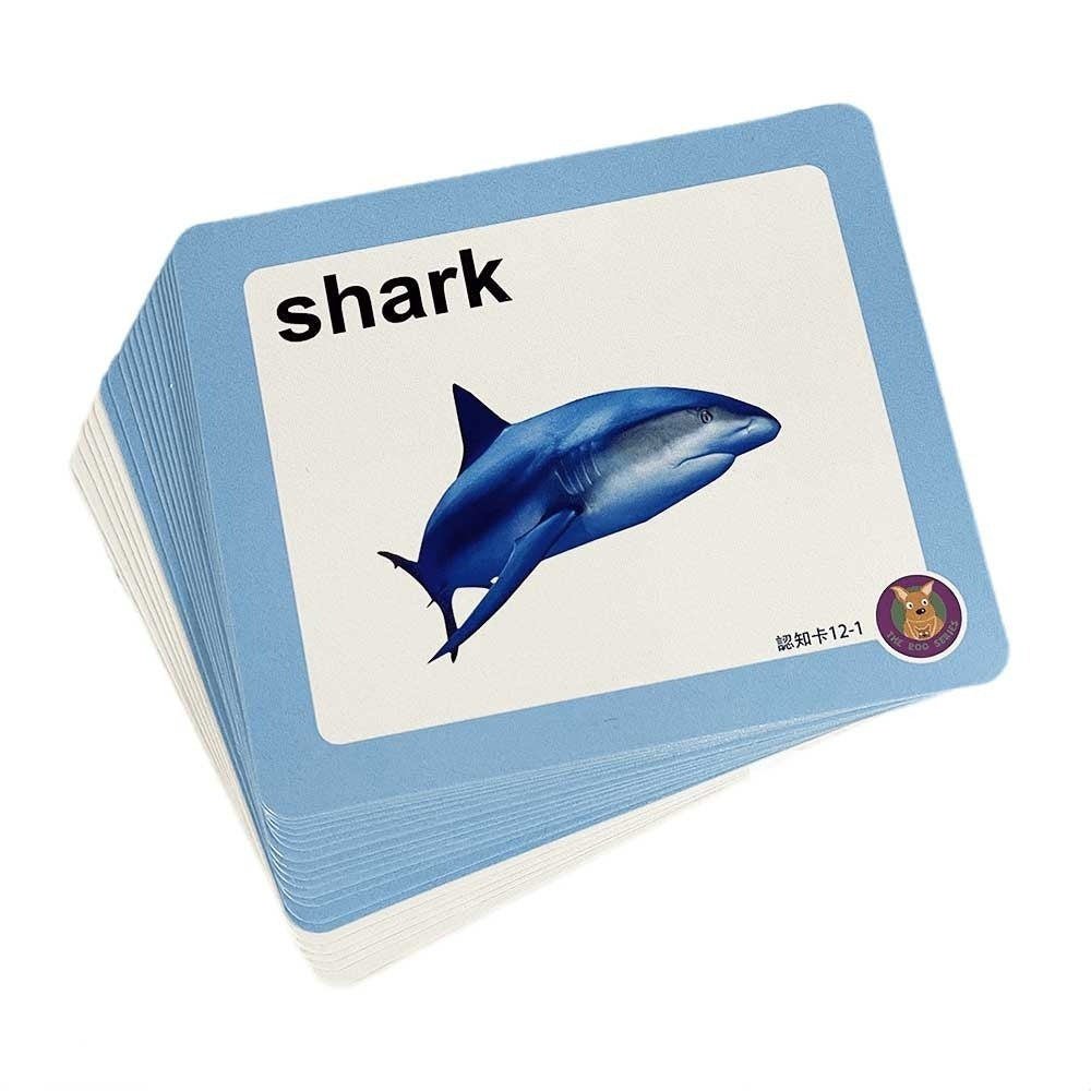 mih-toddler-talking-pen-flash-card-ocean