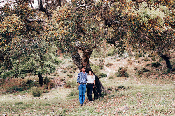 pedro and anna alentejo cork tree