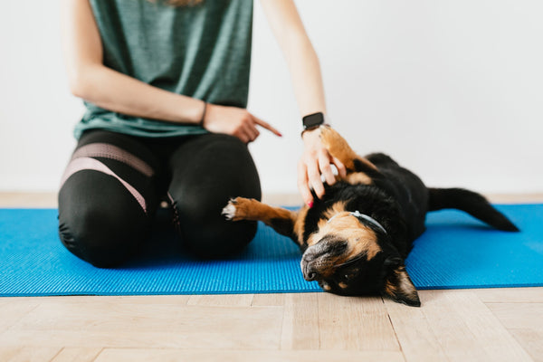 pet yoga mats