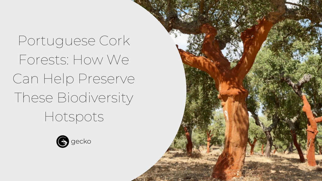 Portuguese Cork Forests biodiversity hotspots
