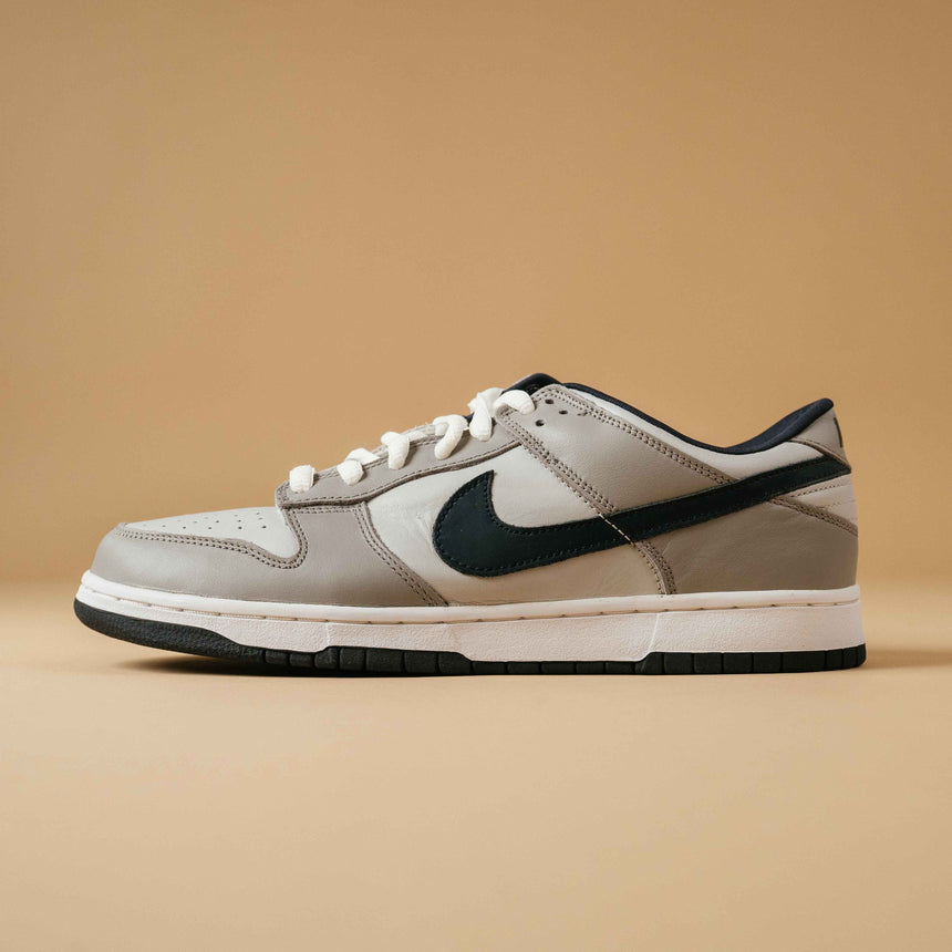 dunk low pro b