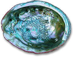 abalone gem