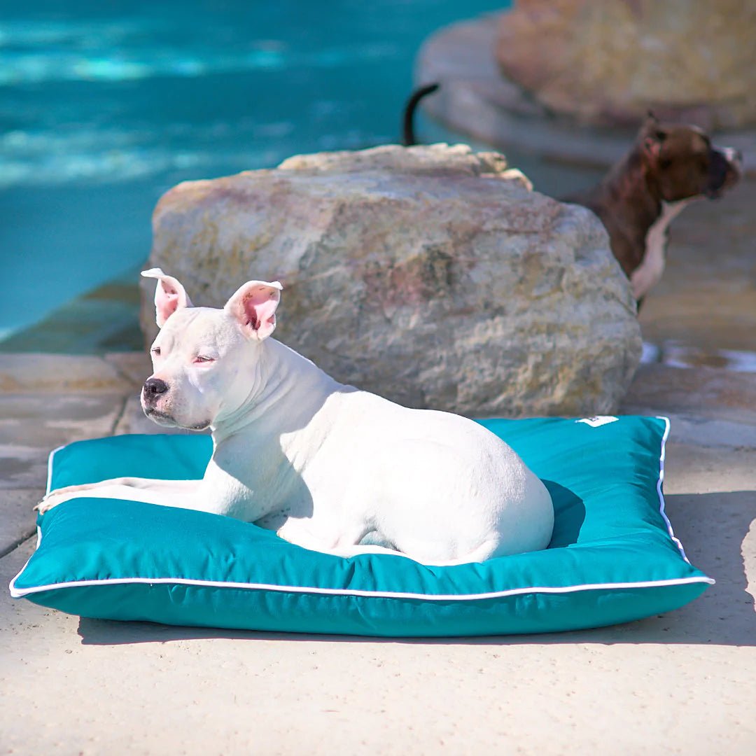 what is the best outdoor dog bedding