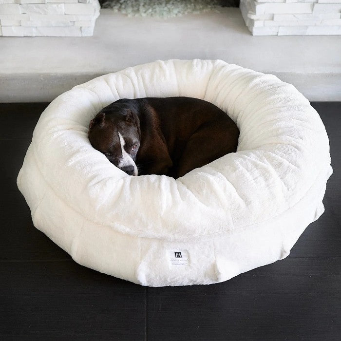 Dog keeps shop digging on bed