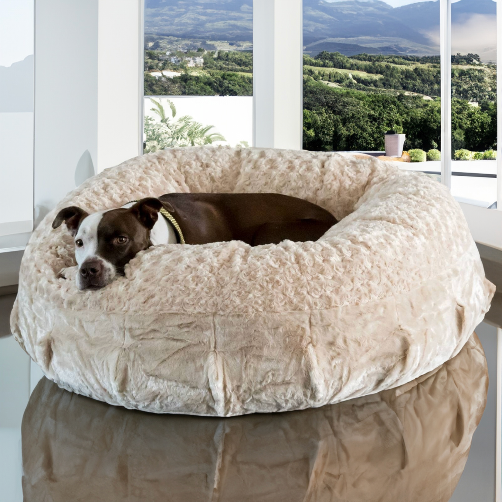 Luxury Bouclé Sofa Topper, Dog Beds