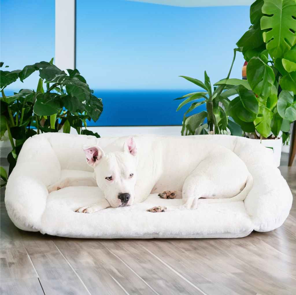 Wessex Memory Foam Dog Bed - Luxury Memory Foam – Hugo & Otto