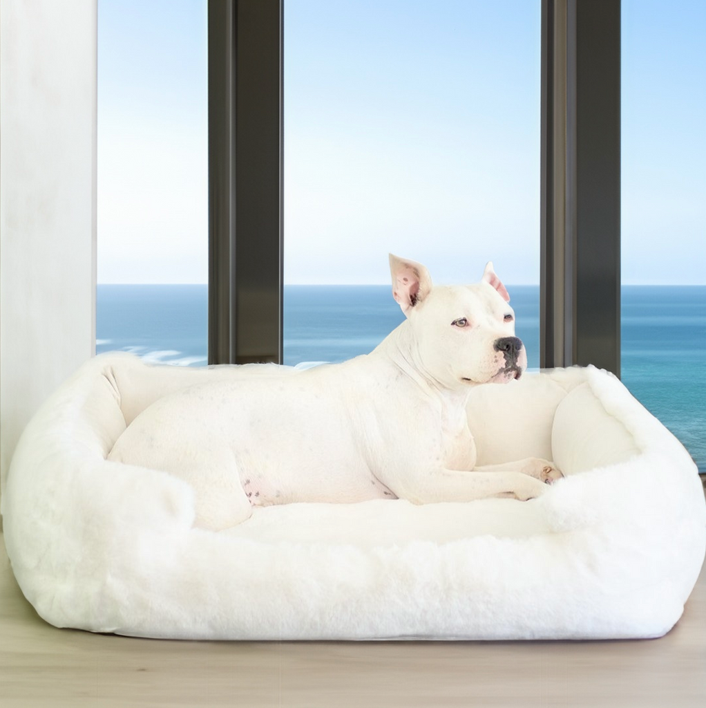 The Ultimate Guide to Dog Cuddle Beds: Benefits, Materials, and More