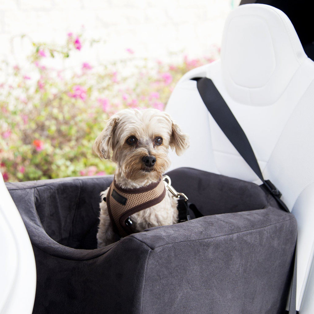 Fashion Car Seat for Dogs With Luxurious Velvet Inside A 