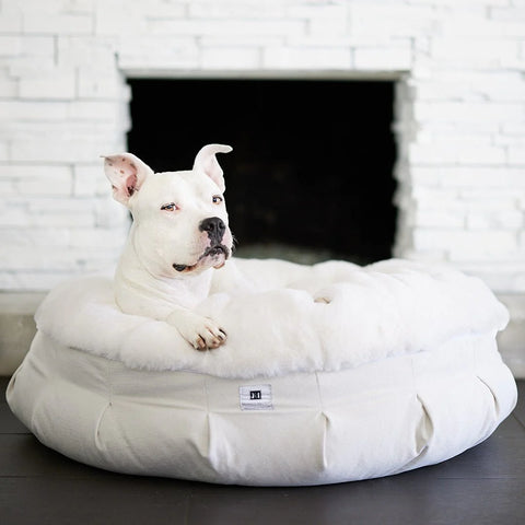 what is the most comfortable dog bed