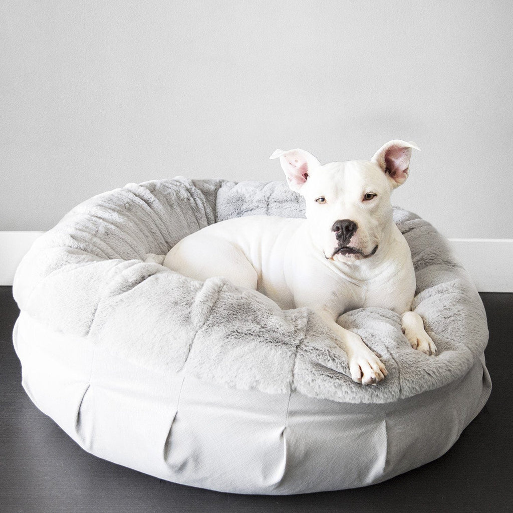 Why Do Dogs Sleep On The Floor Instead Of Their Luxury Dog Beds?