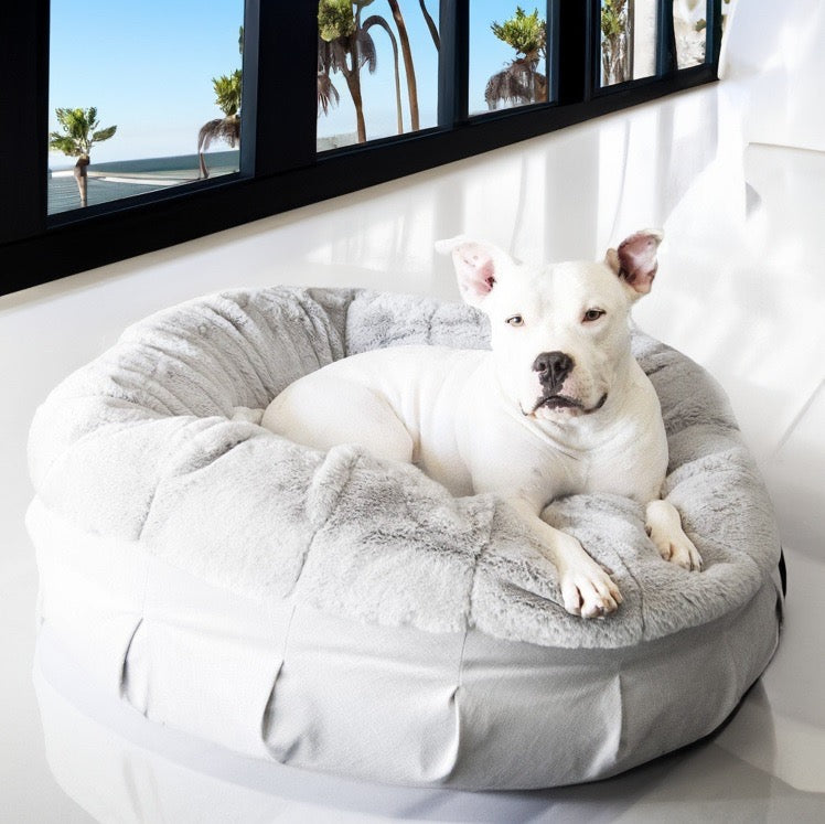 Animals Matter Raine Outdoor Floor Pillow Beach / Large | Premium Pet Supplies for Dogs & Puppies