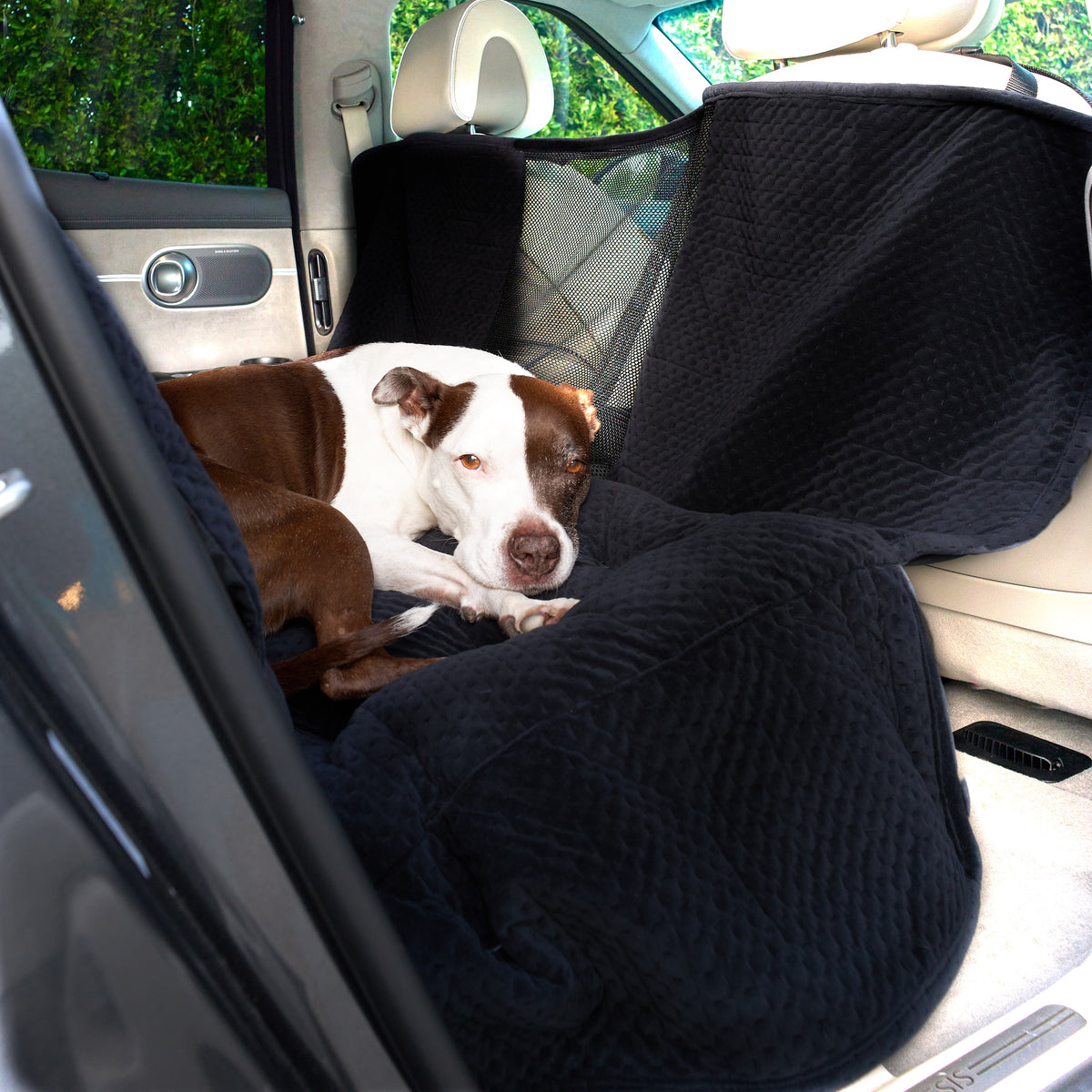 do dogs need a car seat