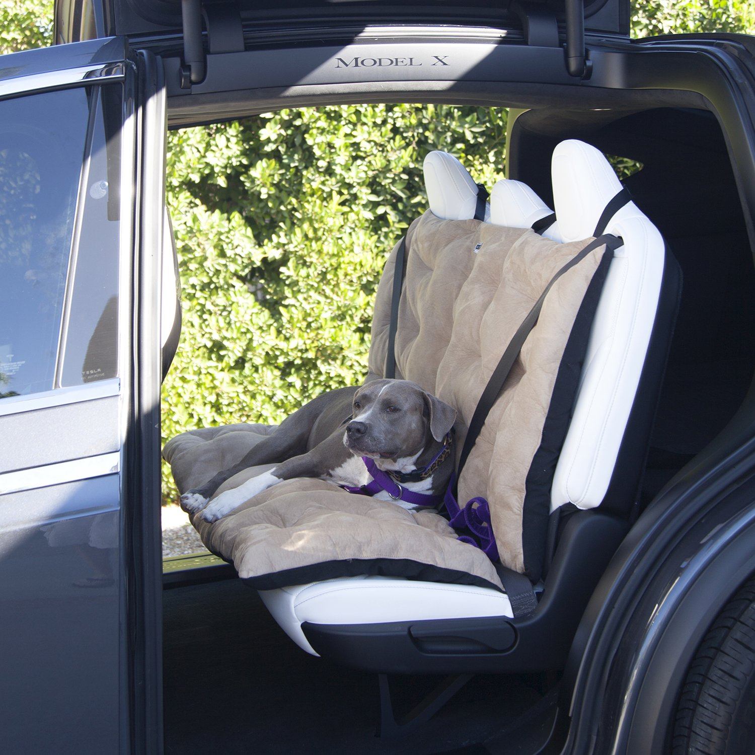 NEW: LA Dog Company® Turbo Travel Hammock