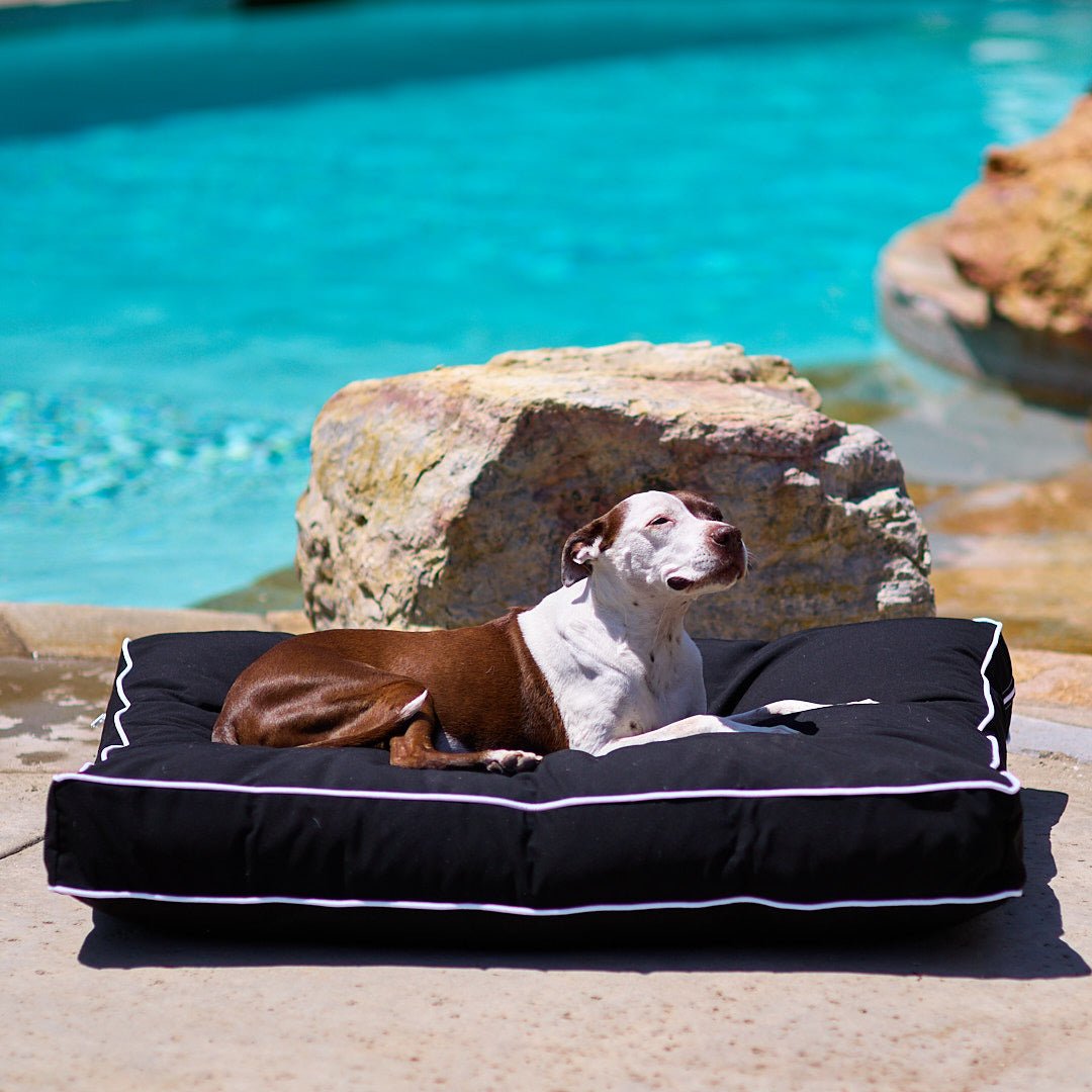 Animals Matter Luxury Outdoor Futon Beach / Medium | Premium Pet Supplies for Dogs & Puppies