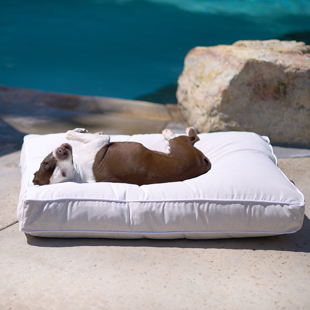 what is the best outdoor dog bedding