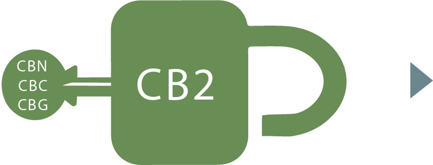 cb-2