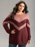 Colorblock Contrast Round Neck Pullover
