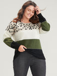Leopard Colorblock Contrast Pointelle Knit Round Neck Knit Top