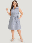 Collared Sleeveless Striped Print Belted Dress