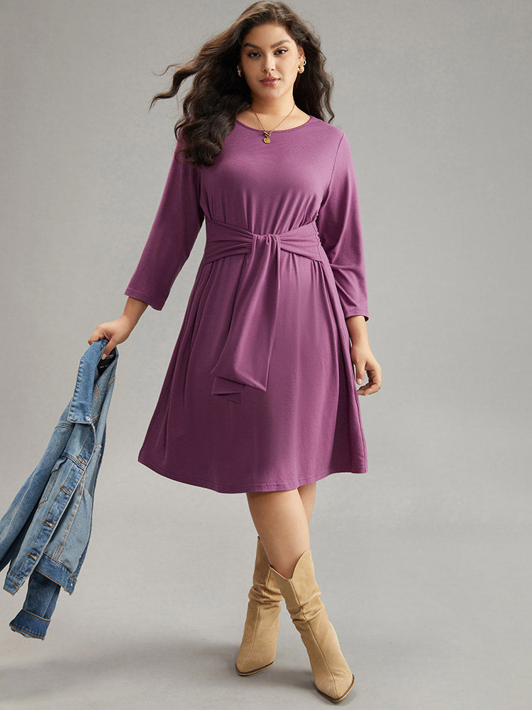 

Plus Size Women Everyday Plain Plain Regular Sleeve Long Sleeve Round Neck Basics Dresses BloomChic, Mauve