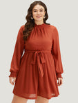 Shirred Belted Mock Neck Dress