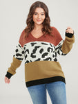 Leopard Colorblock Contrast Pointelle Knit V Neck Knit Top