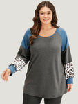 Colorblock Contrast Leopard Round Neck Raglan Sleeve Sweatshirt