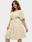 Striped V Neck Button Belted Knee Dress