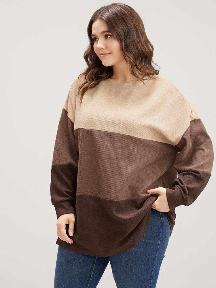 

Plus Size Women Dailywear Plain Patchwork Regular Regular Sleeve Long Sleeve Round Neck Casual Sweatshirts BloomChic, Tan