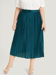 Solid Plisse Pleated Elastic Waist Skirt