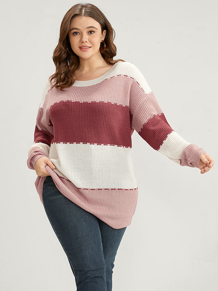 

Colorblock Contrast Pointelle Knit Crew Neck Knit Top BloomChic, Russet