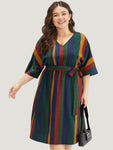 Colour Striped Contrast Belted Dress