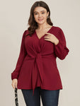 Solid V Neck Lantern Sleeve Knotted Front Blouse