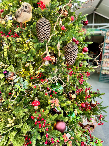 Woodland Christmas Tree Display Section in our Garden Centre