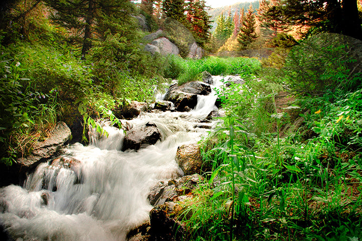 Alberta Falls - Colorado - Rocky Mountain National Park - My Nature Book Adventures