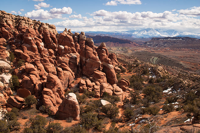 Fiery Furnace