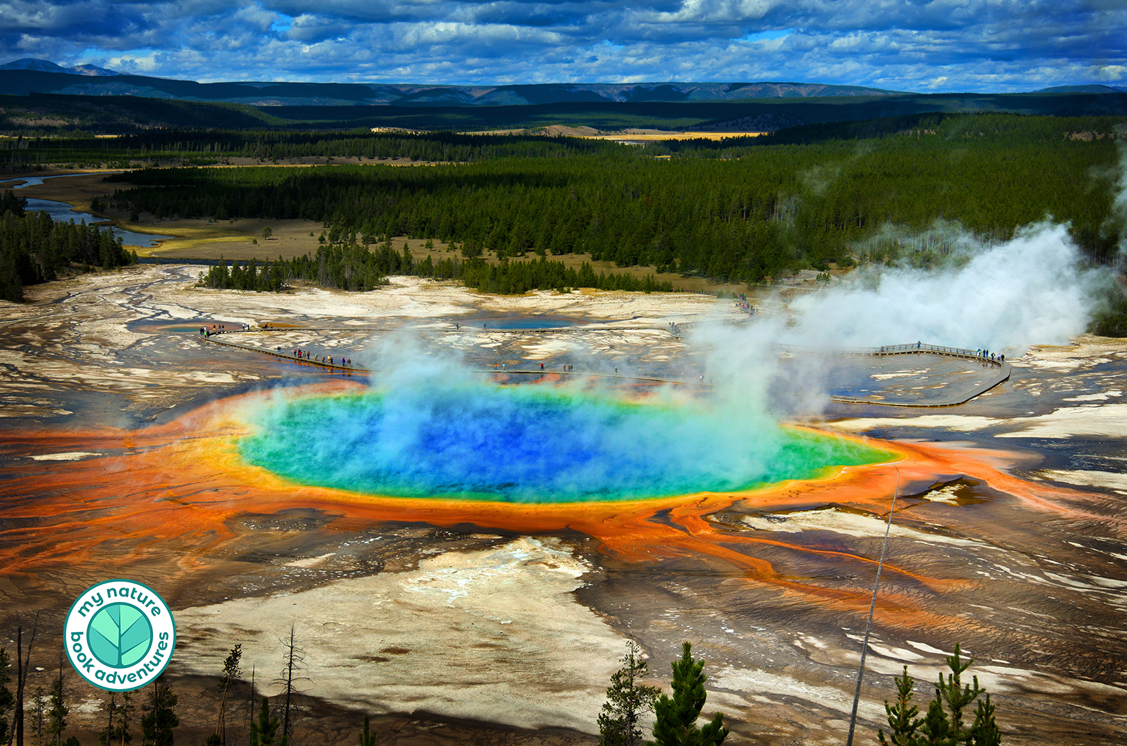 Yellowstone National Park Iconic Sights to See – My Nature Book Adventures