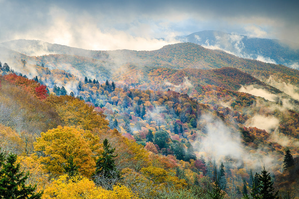 Great Smoky Mountains National Park