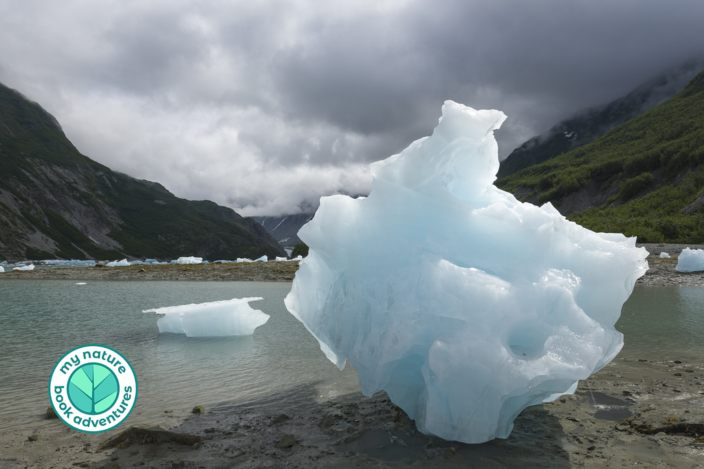 Glacier Bay National Park T-Shirt - Iceberg Poster