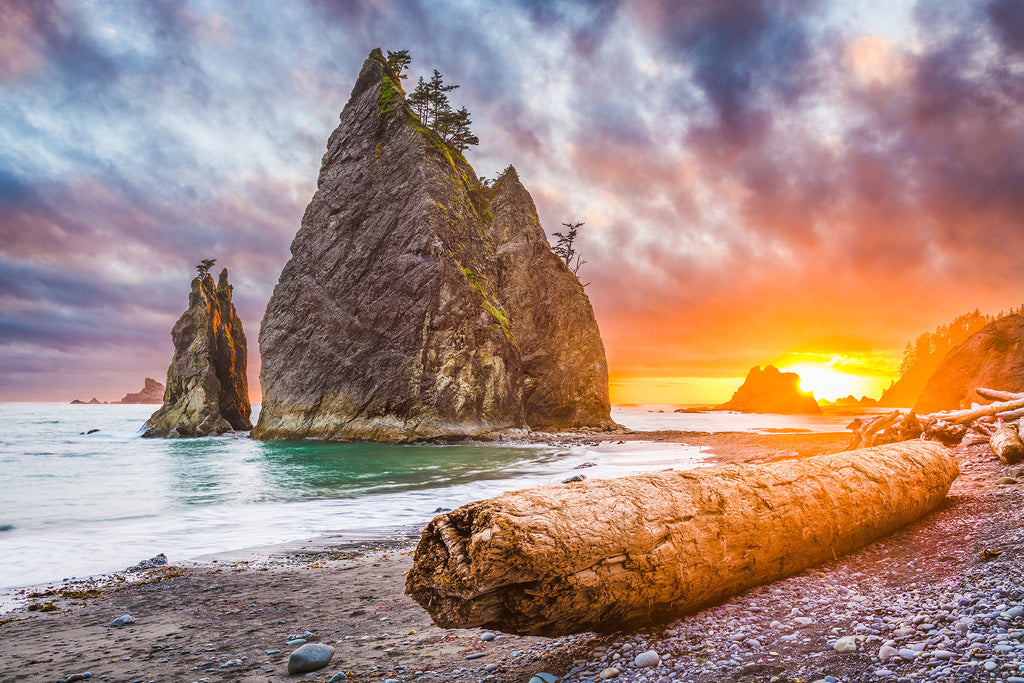 Olympic National Park