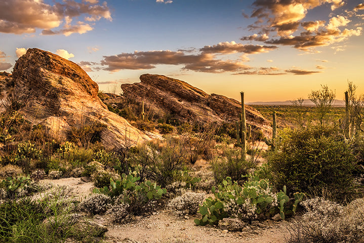 National Parks - Photo Adventure Journal – My Nature Book Adventures